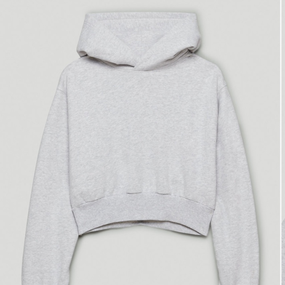 Aritzia Brand New Cropped Hoodie